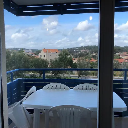Climatise Avec Piscine & Bleu Marine